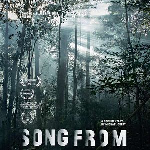 Bilder Song from the Forest