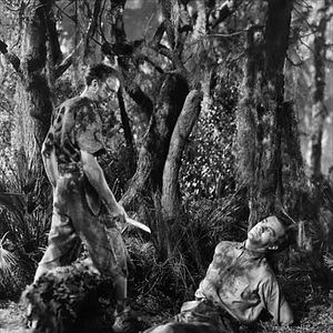 Bilder In den Sümpfen