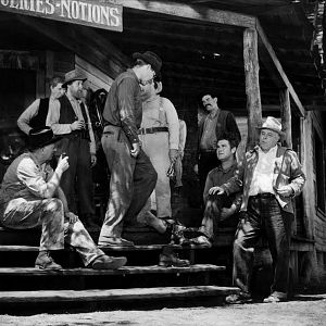 Bilder In den Sümpfen