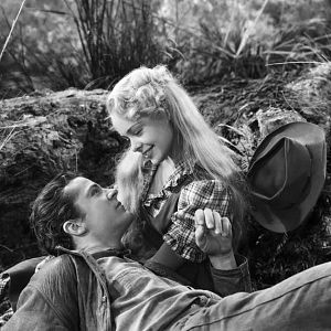 Bilder In den Sümpfen