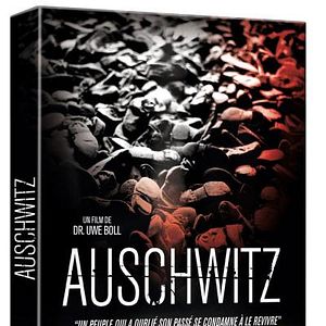 Bilder Auschwitz