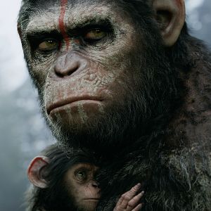 Bilder Planet der Affen 2: Revolution