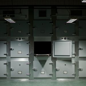 Bilder The Body - Die Leiche