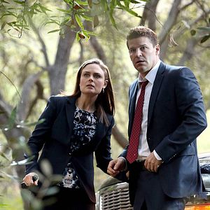 Bilder David Boreanaz