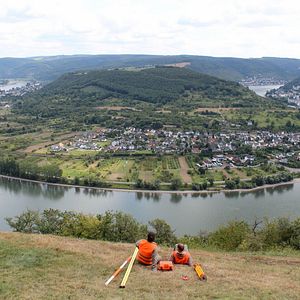 Bilder Vom Ordnen der Dinge