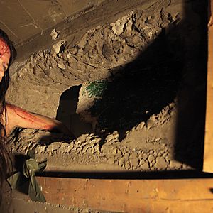 Bilder Animus - The New Maneater