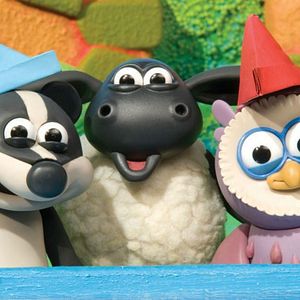 Bilder Timmy, das Schäfchen