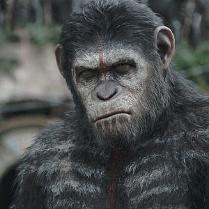 Bilder Planet der Affen 2: Revolution