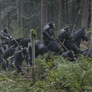 Bilder Planet der Affen 2: Revolution