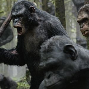 Bilder Planet der Affen 2: Revolution