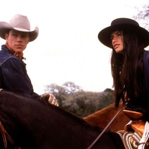 Bilder All die schönen Pferde