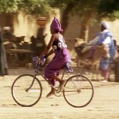 Bilder Das Leben auf Erden