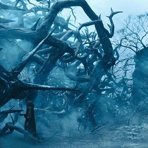 Bilder Maleficent - Die dunkle Fee