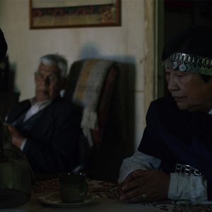 Bilder Der Sommer der fliegenden Fische