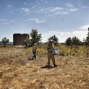 Bilder Land der Wunder