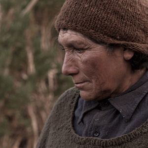 Bilder Las Niñas Quispe