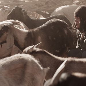 Bilder Francisca Gavilán