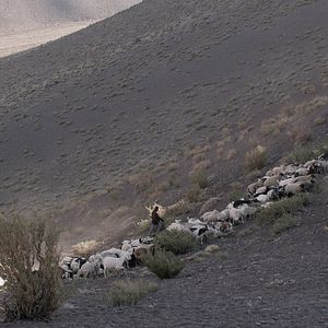 Bilder Las Niñas Quispe