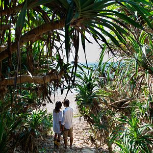 Bilder Still The Water