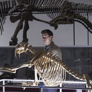 Bilder Michael James Regan