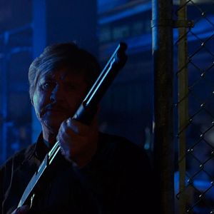 Bilder Death Wish V: The Face of Death