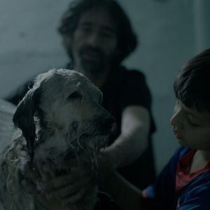 Bilder Decent People