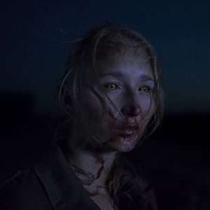 Bilder When Animals Dream