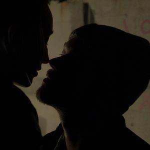 Bilder When Animals Dream