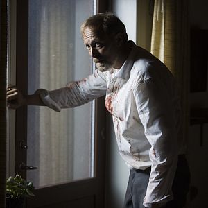 Bilder When Animals Dream