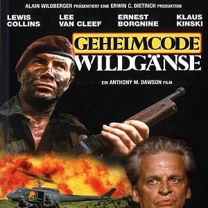 Bilder Geheimcode Wildgänse