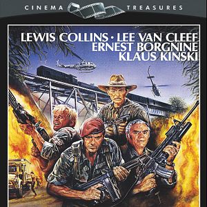 Bilder Geheimcode Wildgänse