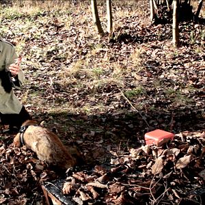 Bilder Across the River