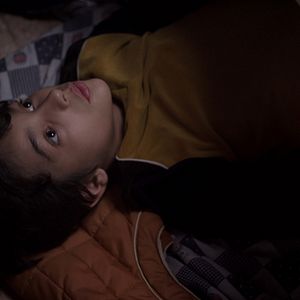 Bilder Der wundersame Katzenfisch