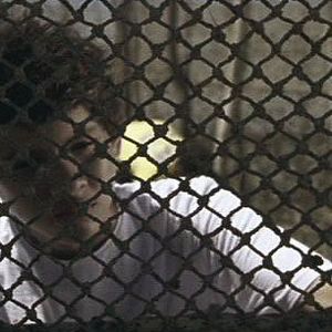 Bilder Sem Coração (short)