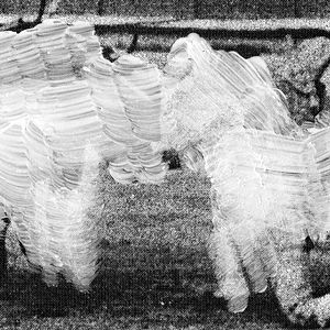 Bilder The Revolution Hunter