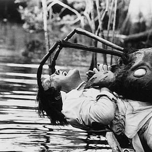 Bilder In der Gewalt der Riesenameisen