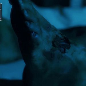 Bilder Phantasmagoria