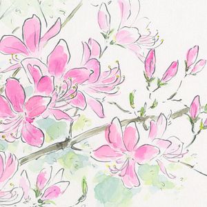 Bilder Die Legende der Prinzessin Kaguya