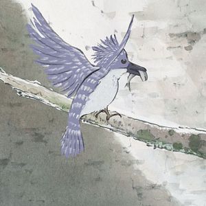 Bilder Die Legende der Prinzessin Kaguya