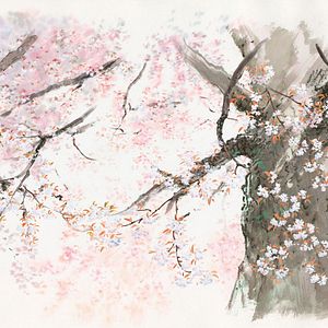 Bilder Die Legende der Prinzessin Kaguya