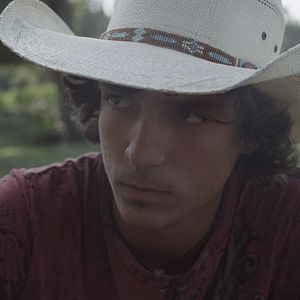 Bilder Stop the Pounding Heart