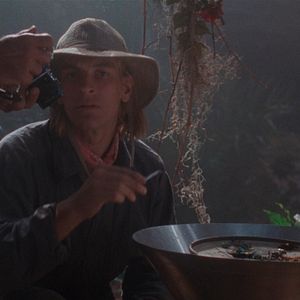 Bilder Arachnophobia