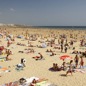 Bilder Das blaue Zimmer