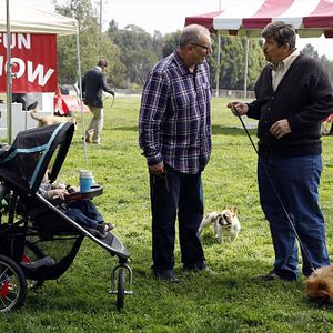 Bilder Rod McLachlan