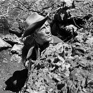 Bilder Einsam sind die Tapferen