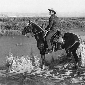 Bilder Einsam sind die Tapferen