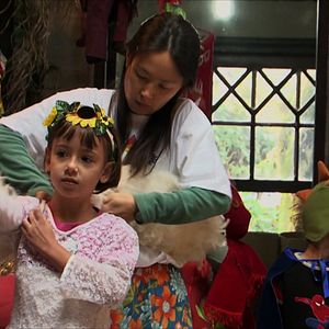 Bilder Sementes do Nosso Quintal