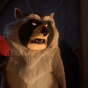 Bilder Operation Nussknacker