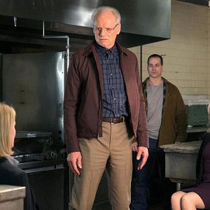 Bilder Gillian Anderson