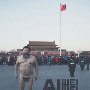 Bilder Ai Weiwei - The Fake Case